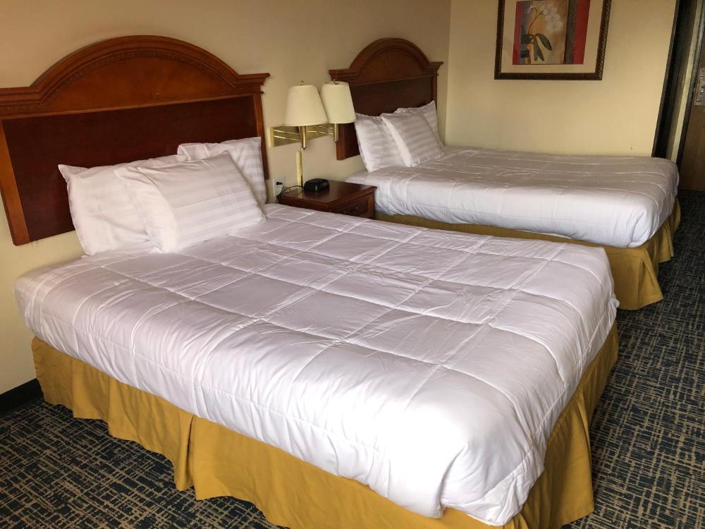 Queen Room with Two Queen Beds interior